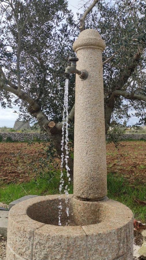 Palacca, Trullo Salentino Andrano Exteriör bild