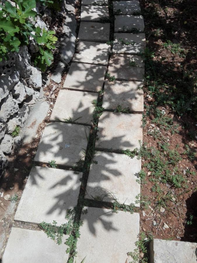 Palacca, Trullo Salentino Andrano Exteriör bild