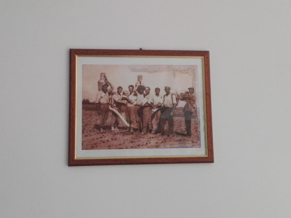 Palacca, Trullo Salentino Andrano Exteriör bild