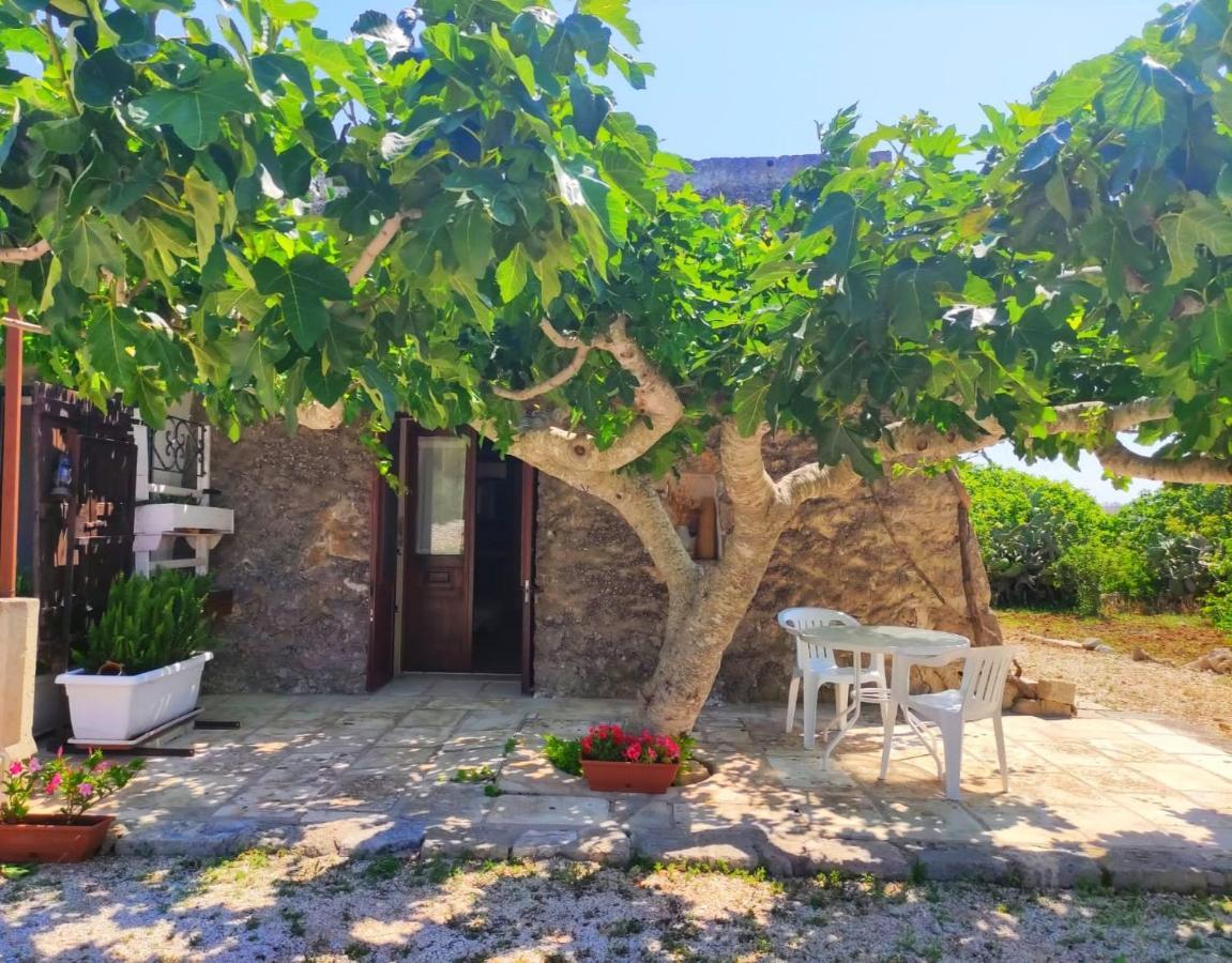 Palacca, Trullo Salentino Andrano Exteriör bild