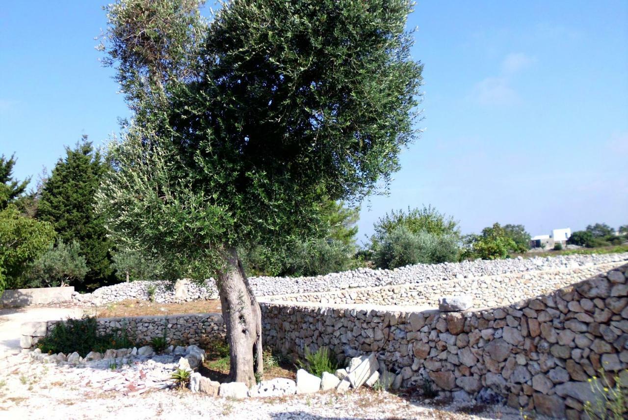 Palacca, Trullo Salentino Andrano Exteriör bild