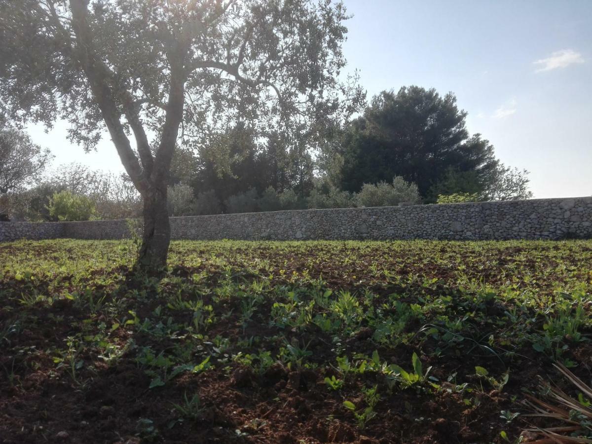 Palacca, Trullo Salentino Andrano Exteriör bild
